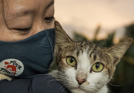 Woman carrying cat looking straight at the camera over her shoulder