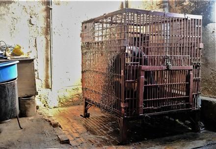Cuc and Nhai, a life behind bars