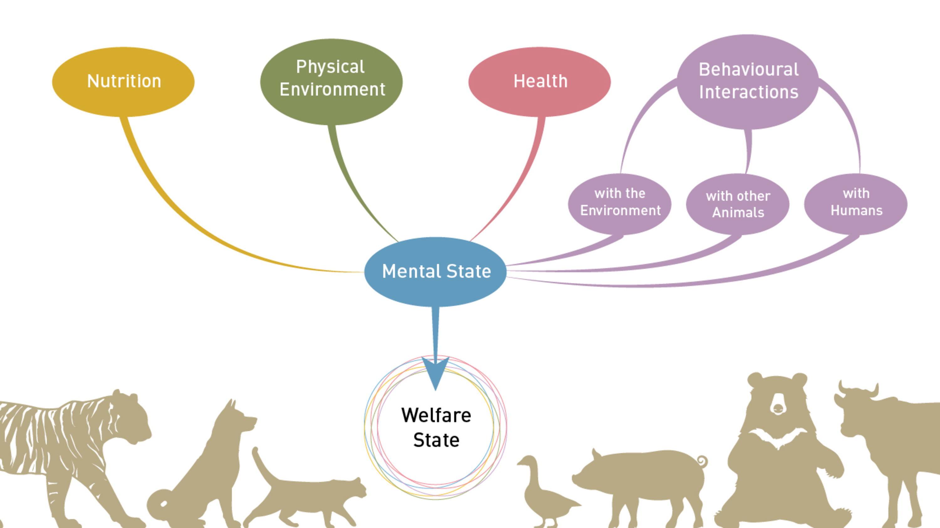The Five Domains Schematic