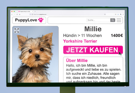 Puppy promotion