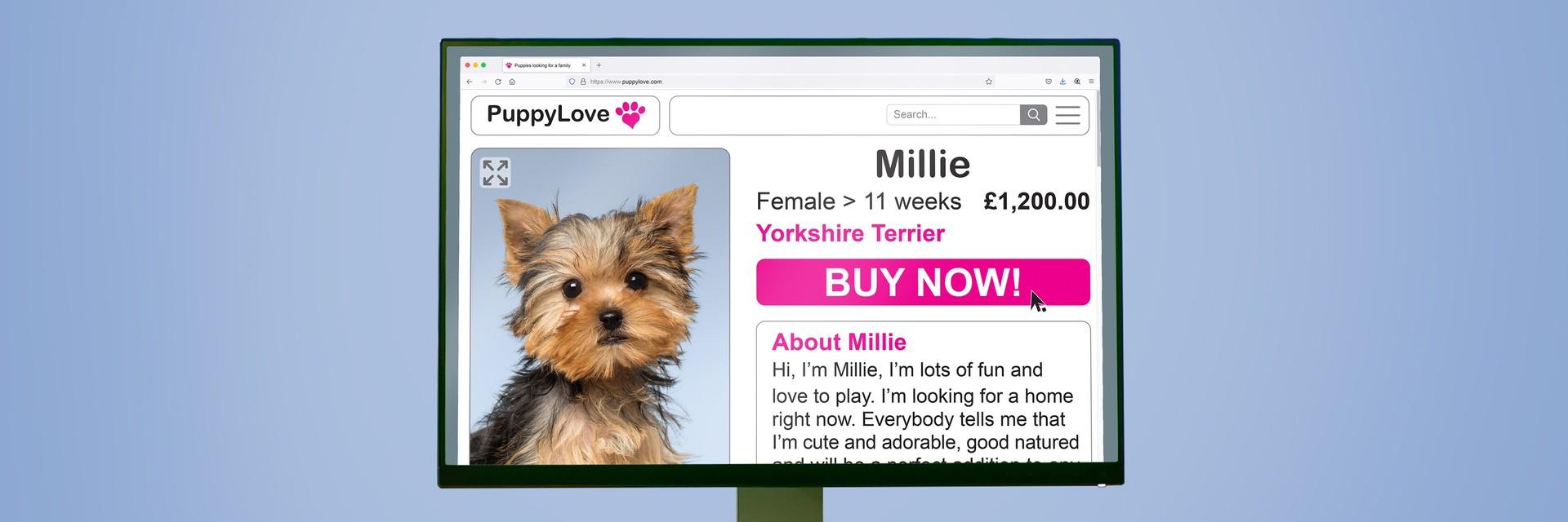 Puppy ad