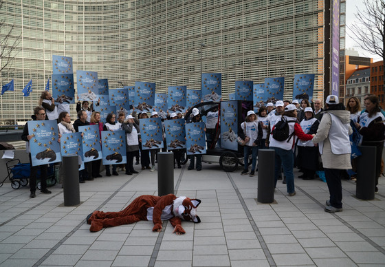 Fur Free Europe action in front of the EU Commission