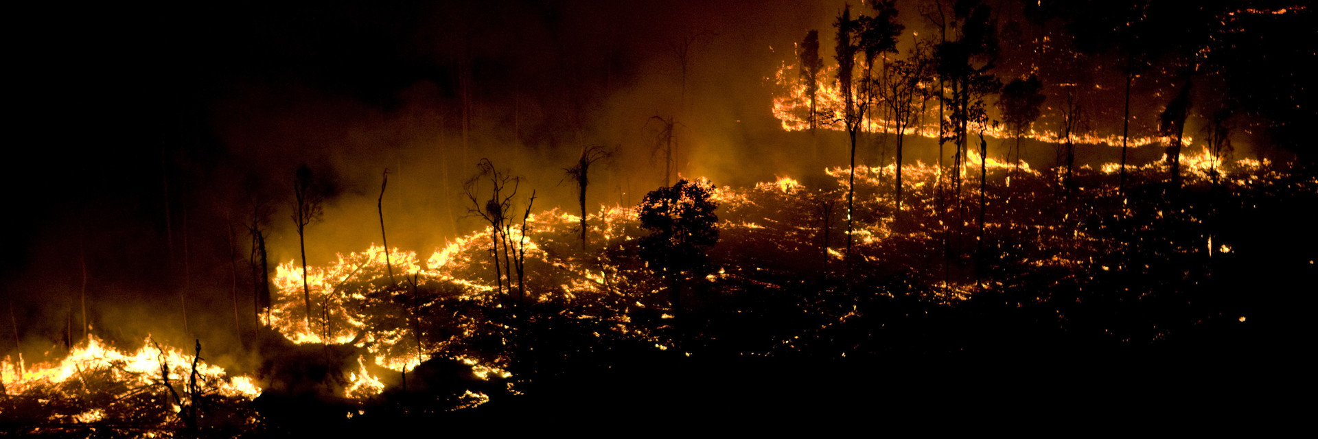 Wildfires