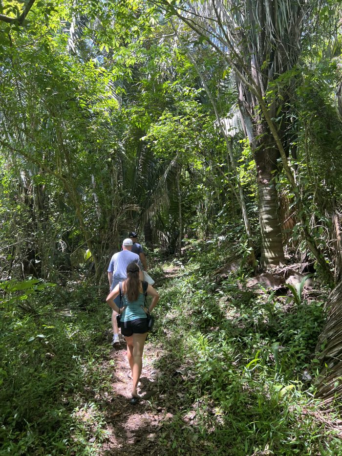 Maggie Sottero employees during reforestation efforts in Costa Rica