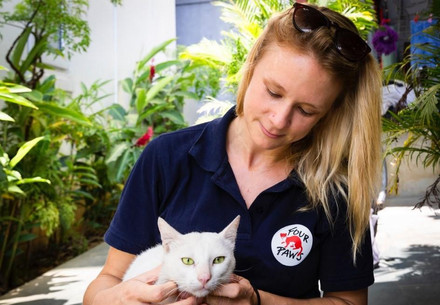 Helping Stray Animals
