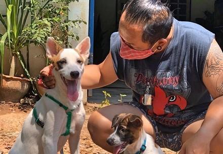 Animal Welfare and COVID-19