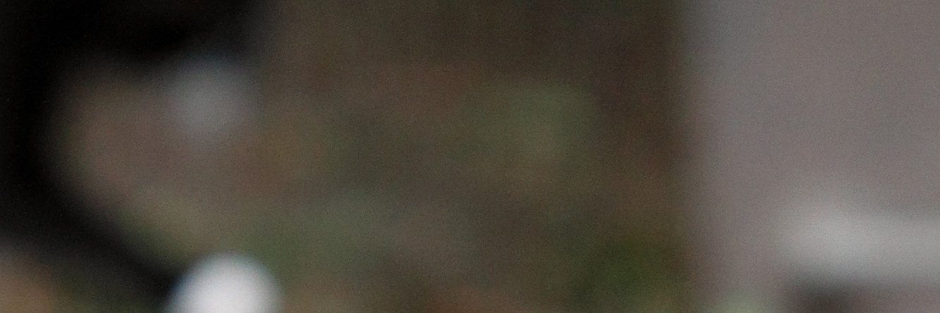 Two cats