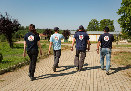 Helping animals in wars and conflict zones