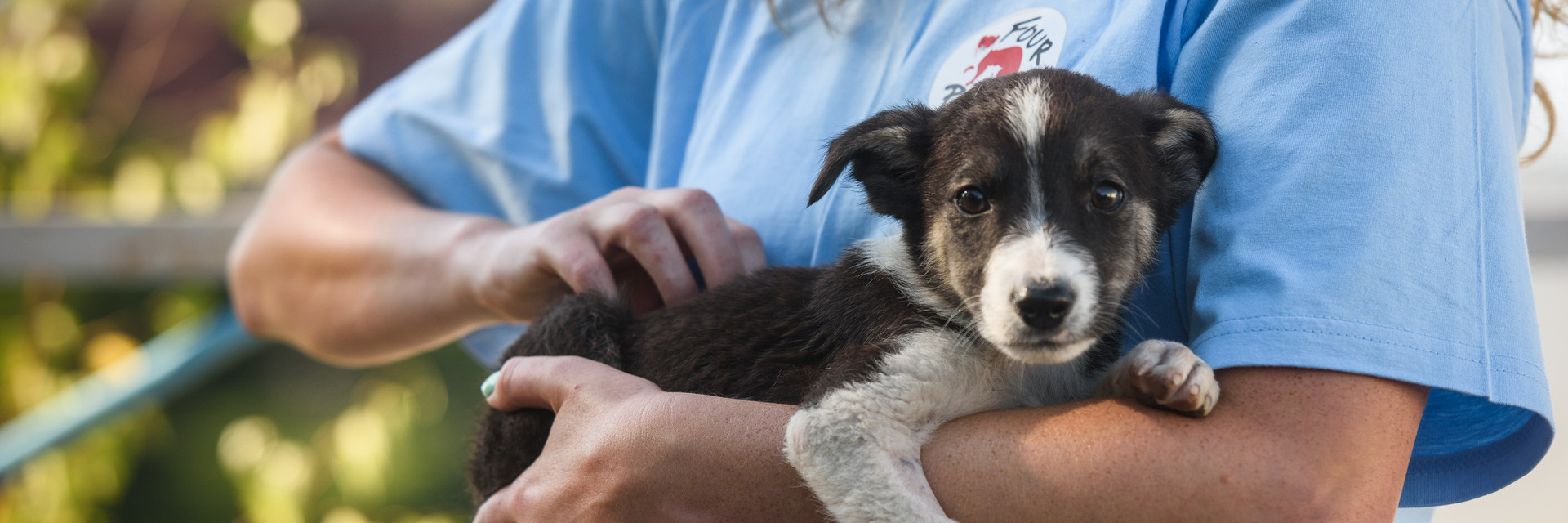 Rescued puppy