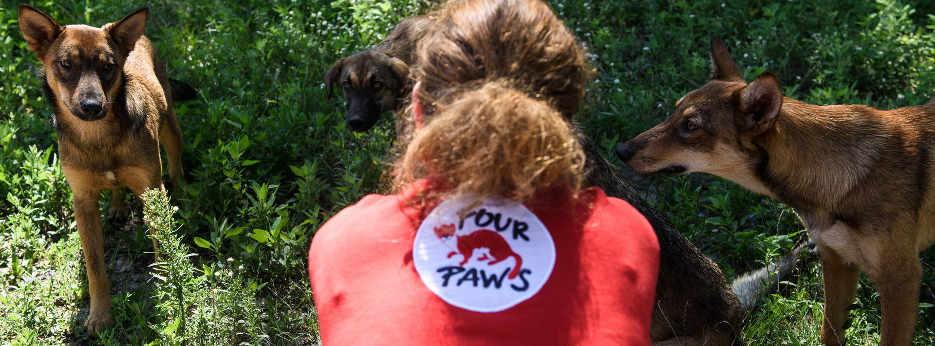 FOUR PAWS team on-side