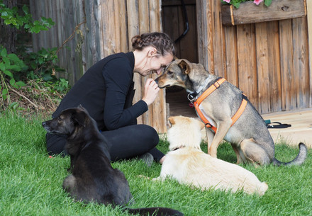 A woman and her three loved dogs