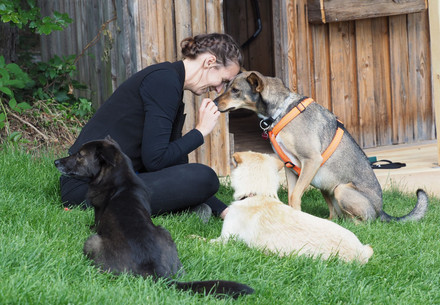 A woman and her three loved dogs
