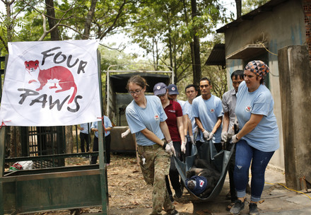 Rescue in Vietnam