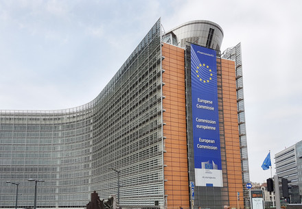 FOUR PAWS work in Brussels