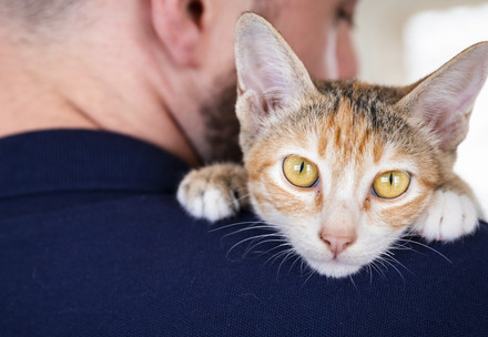 Cat and his owner