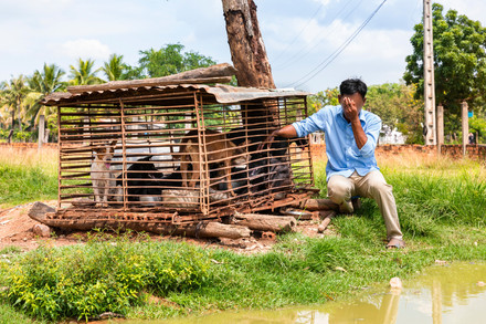 Slaughterhouse owner with dogs in cage