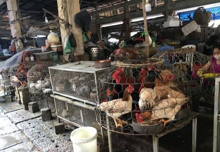 Ha Dong Market, Hanoi, Vietnam