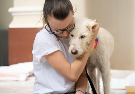 Dog being hugged