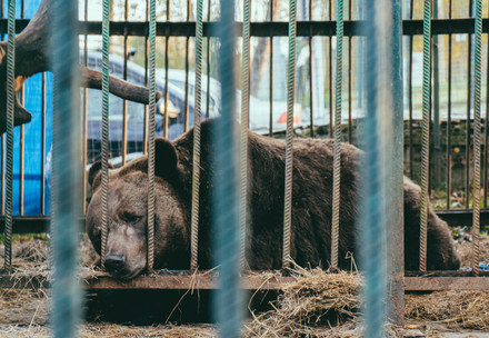 Rescue Mykhailo