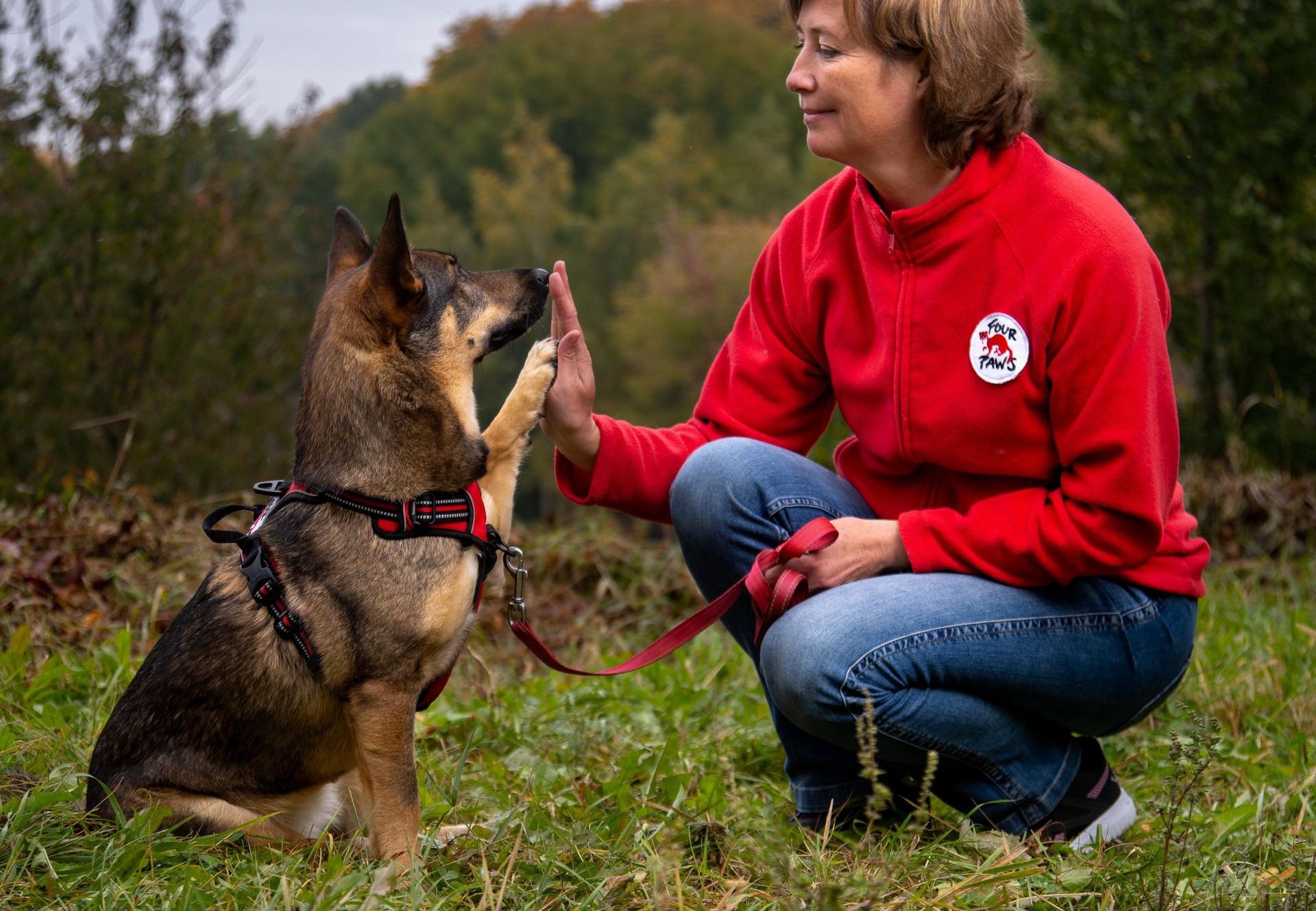 Shelter Adoption Programme