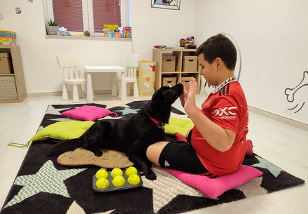 AAI dog Freya with a child in Bulgaria