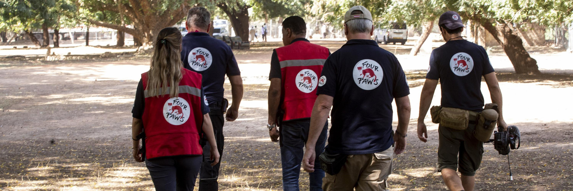 FOUR PAWS team