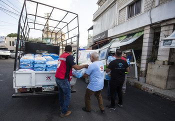FOUR PAWS team transporting animal food supply in Beirut, Lebanon