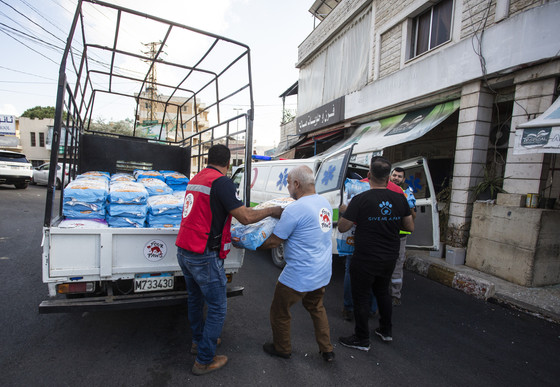 FOUR PAWS Team Helping With Animal Food Supply in Beirut, Lebanon. FOUR PAWS team helping with animal food supply in Beirut, Lebanon.