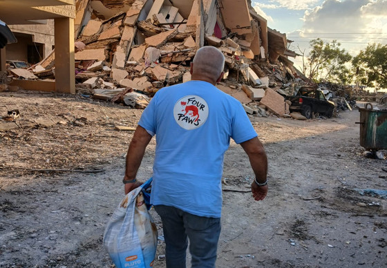 Four Paws Team Member in the Ruins of Destroyed Buildings in Beirut, Lebanon FOUR PAWS team member in the ruins of destroyed buildings in Beirut, Lebanon.