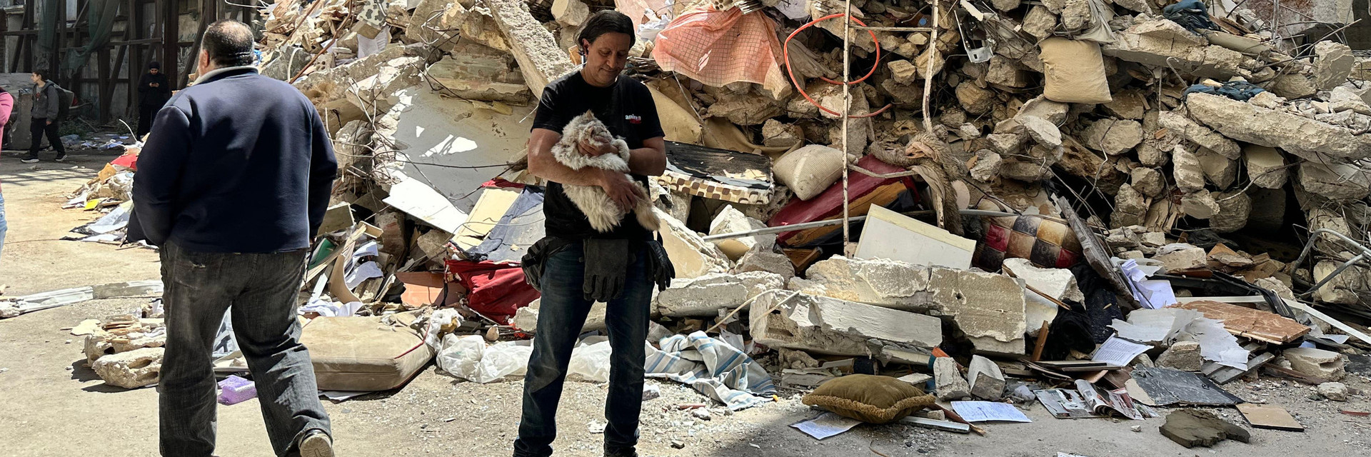 FOUR PAWS supporting animals in crisis in lebanon