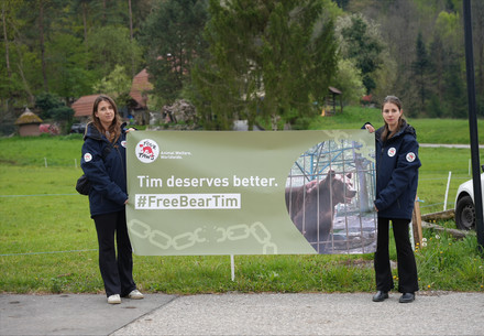 FOUR PAWS visit at Rozman Zoo in Slovenia