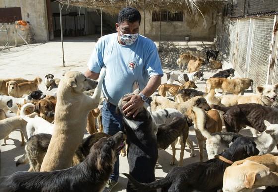 Dr Amir Khalil at a shelter