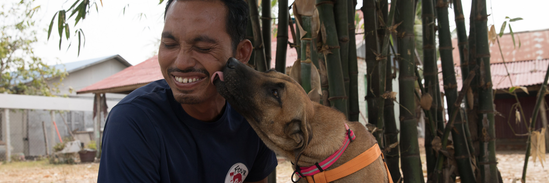 Rescued dog Jackson with a FOUR PAWS employee in Cambodia