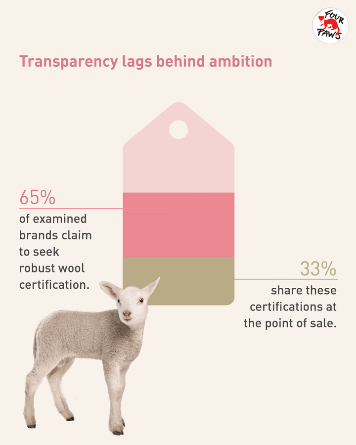 Graphic on transparency lags behind amibition