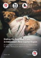 An Investigative Report into the Trade of Dogs for Meat in Balikpapan, Indonesia
