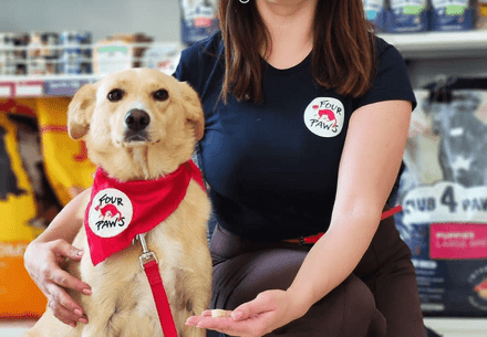 AAI dog Alisa with her handler Antonia